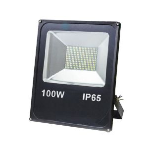 Прожектор светодиодный ЕВРОСВЕТ 100Вт 6400К EV-100-01  SMD