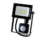 Прожектор светодиодный EVROLIGHT 10Вт с датчиком движения EV-10D 6400К - фото 1